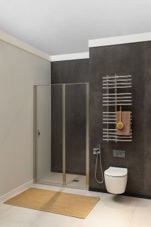 Душевая дверь Allen Brau Priority 90 3.31026.BA профиль Серебро браш